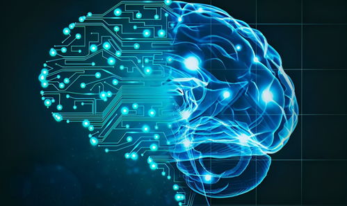 AI模擬生物進(jìn)化 計(jì)算機(jī)軟硬件技術(shù)開(kāi)發(fā)揭開(kāi)生命起源新篇章